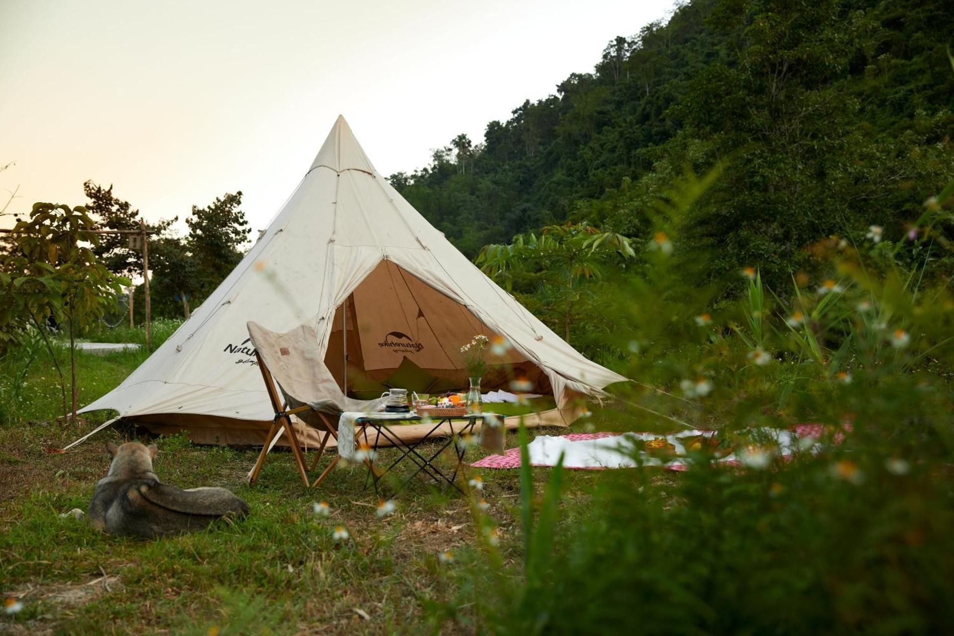 Tent