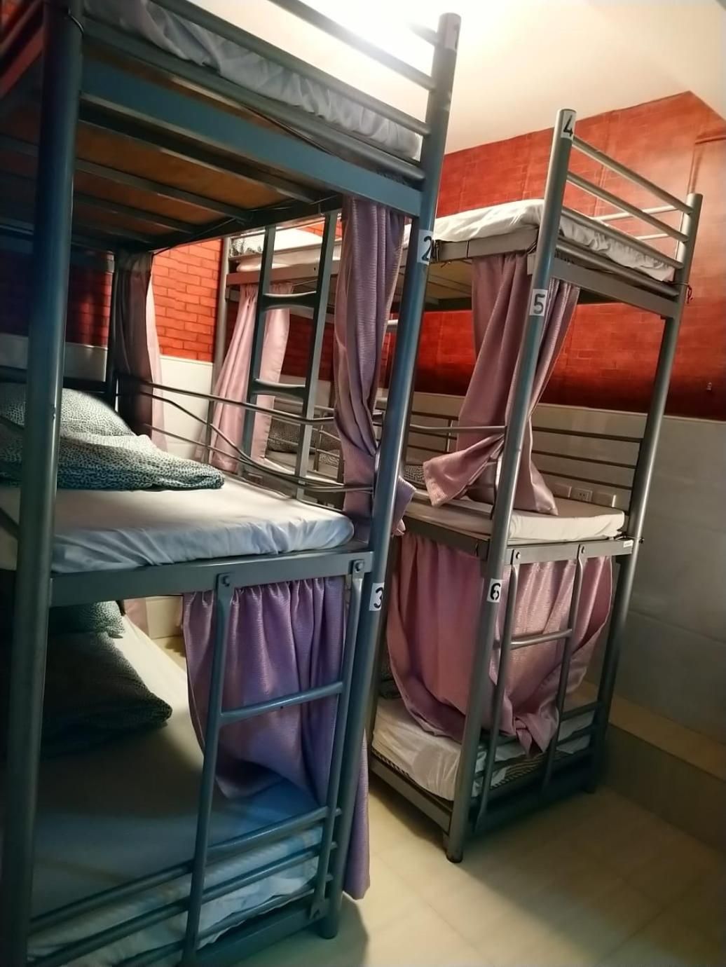 Bunk Bed in Female Dormitory Room