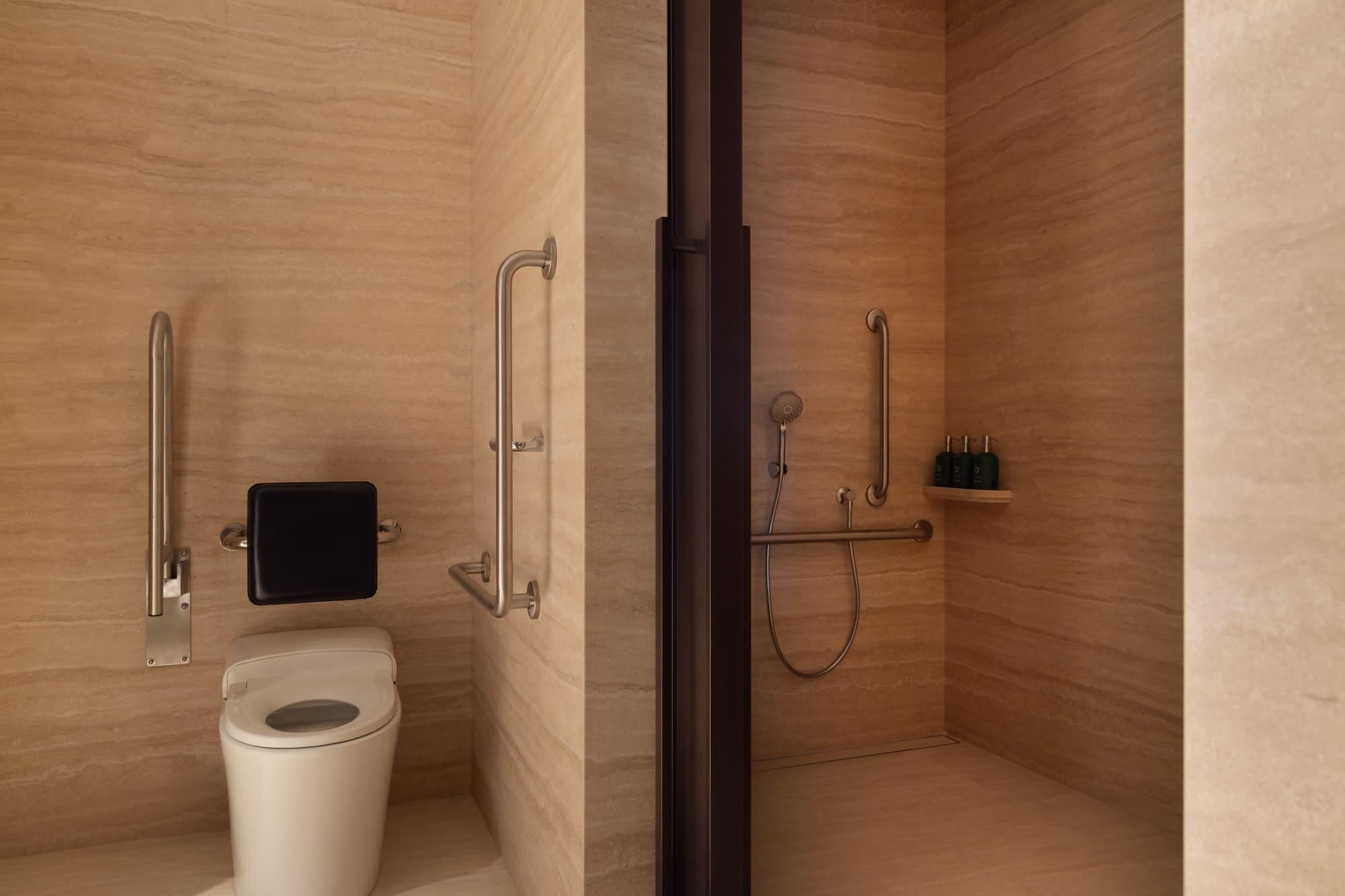 Superior Accessible King Room