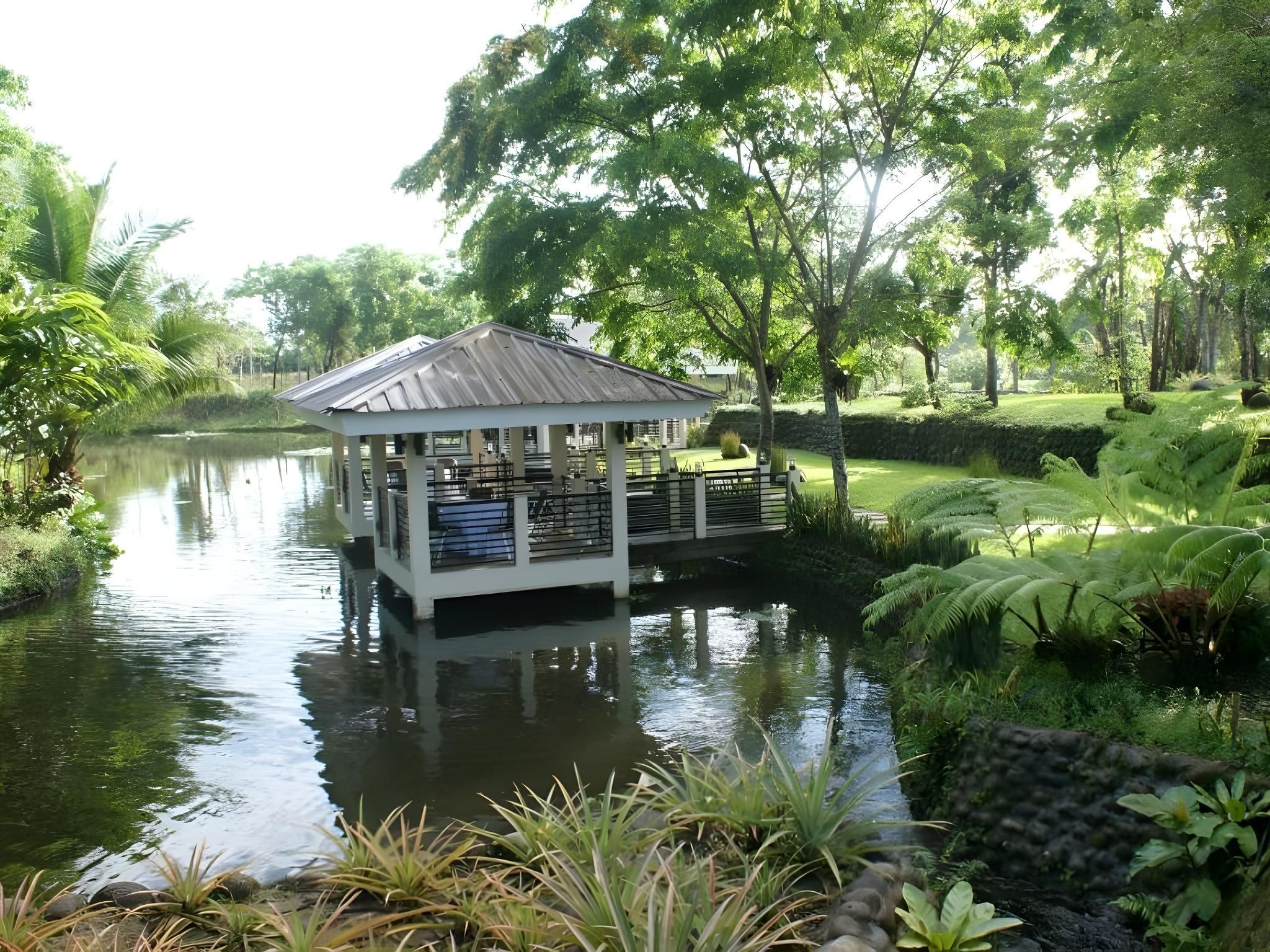 surrounding environment