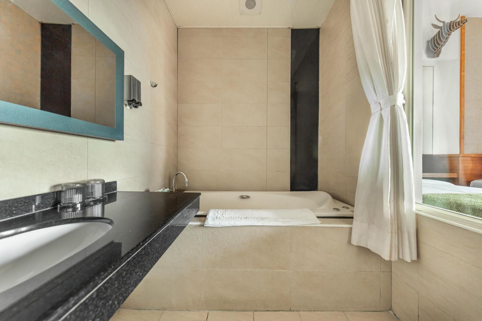 Deluxe Grand Twin Room