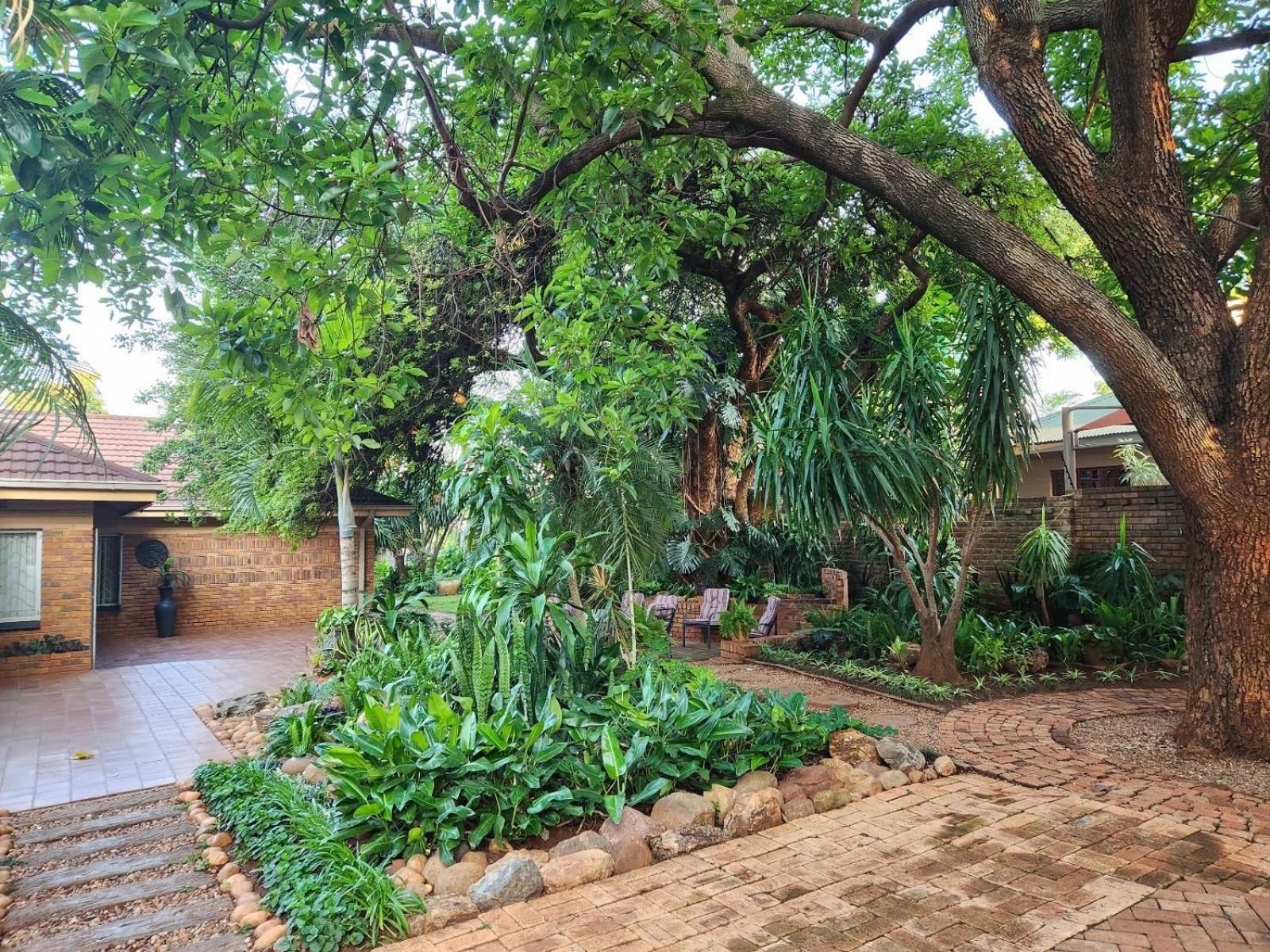 Tree Aloe Guest House