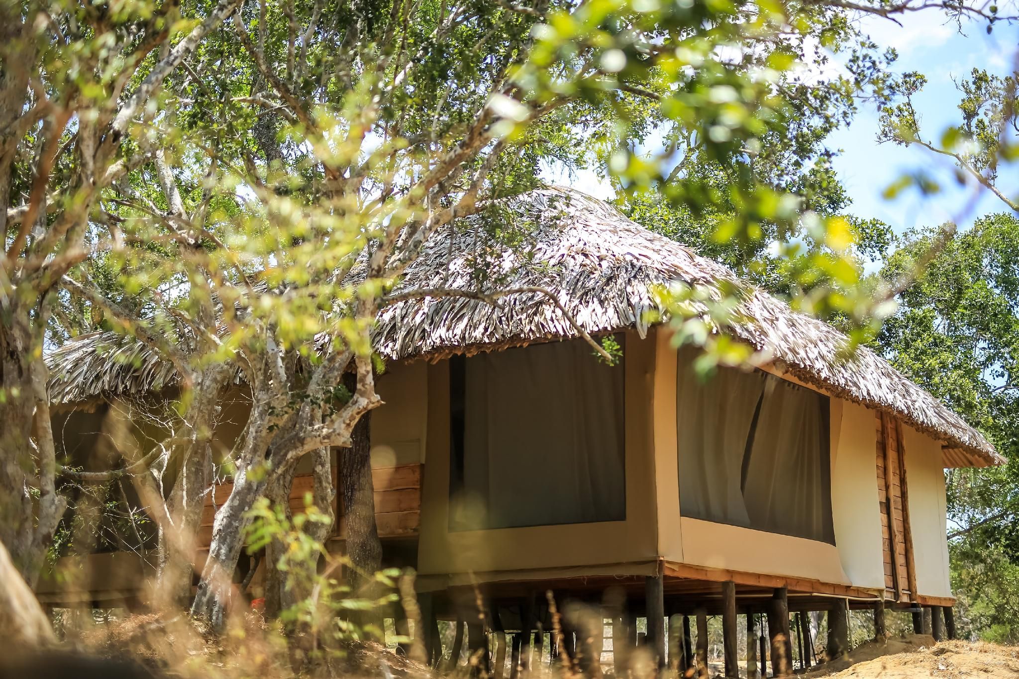 Yala Safari Camping Hotel