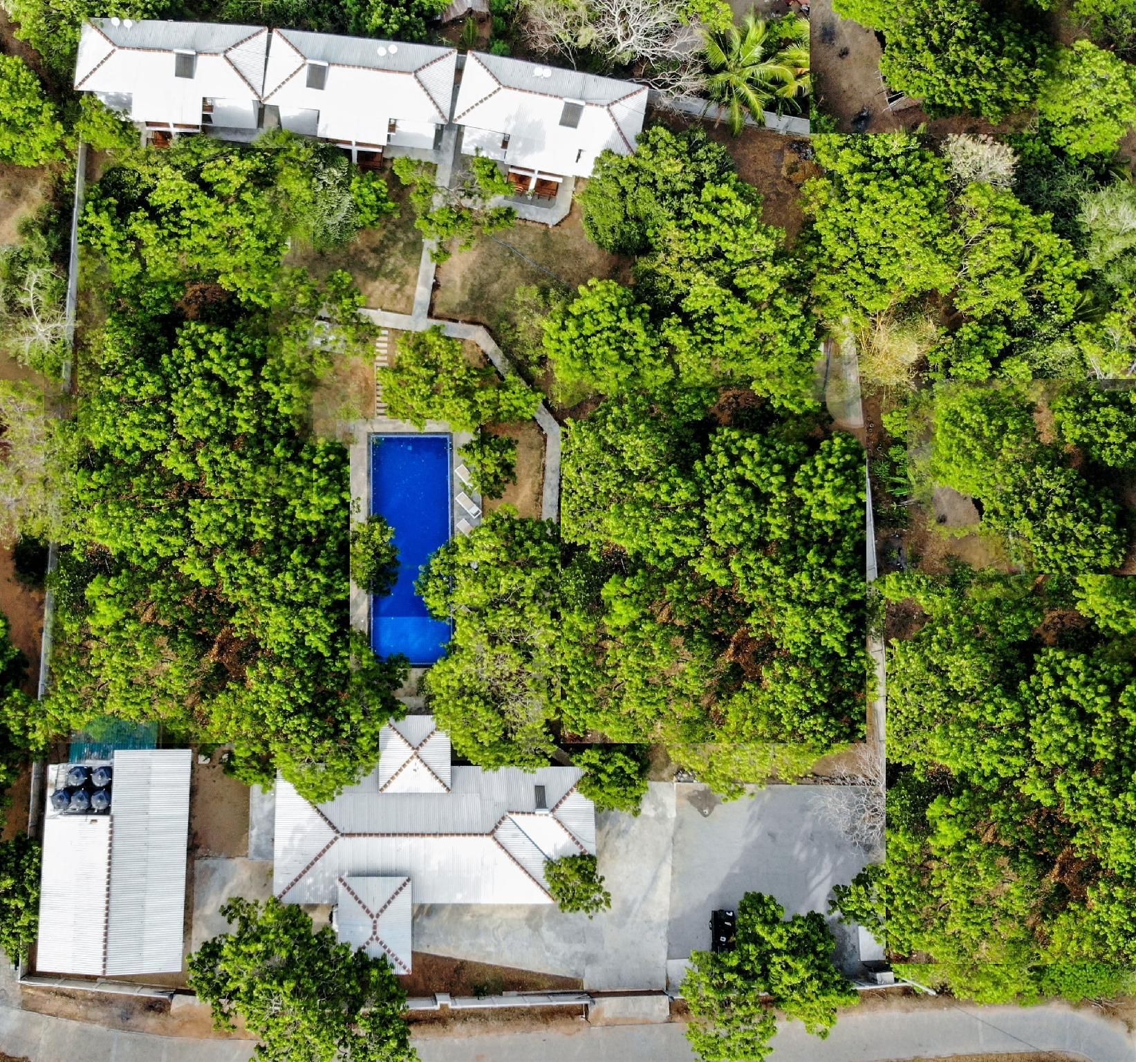 swimming pool [outdoor]