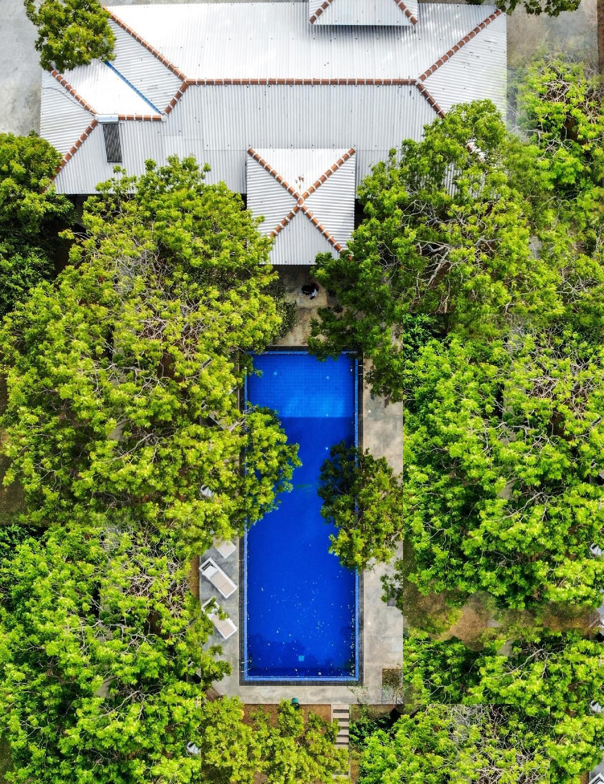 swimming pool [outdoor]