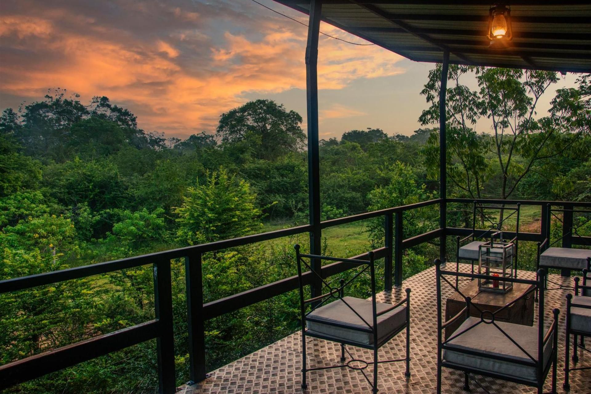 Glamping Suite bordering Yala with a Guided Night Walk