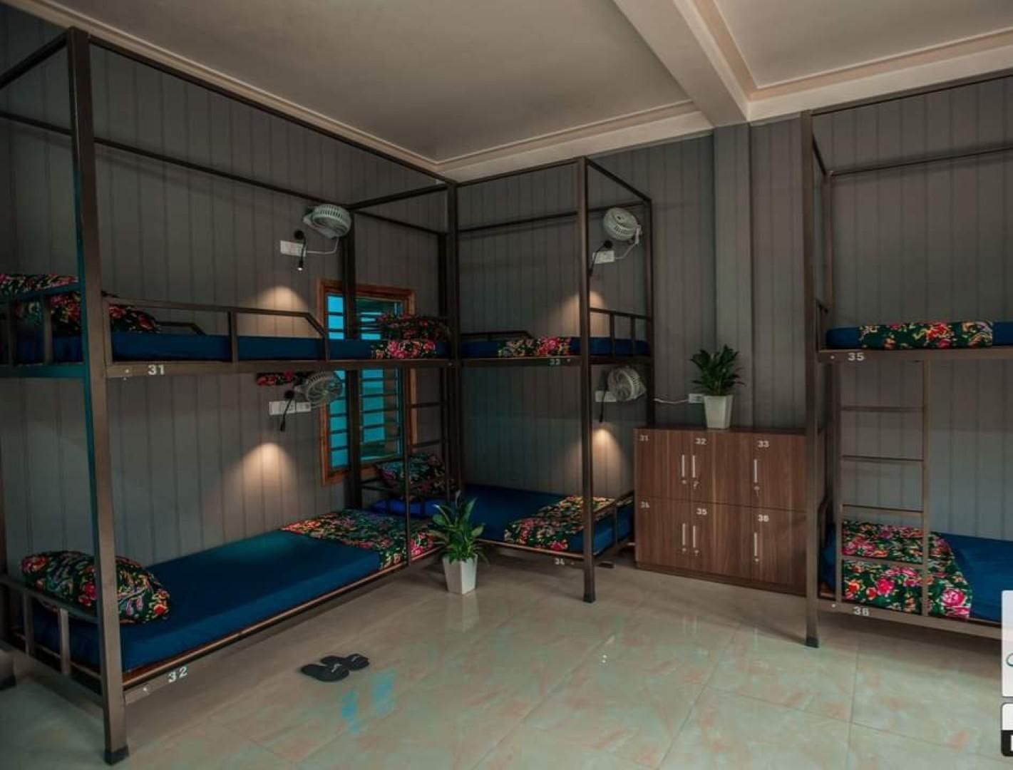 Bunk Bed in a Mixed Dormitory