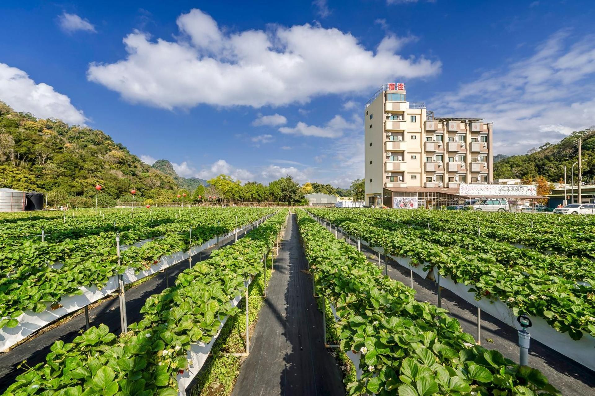 surrounding environment