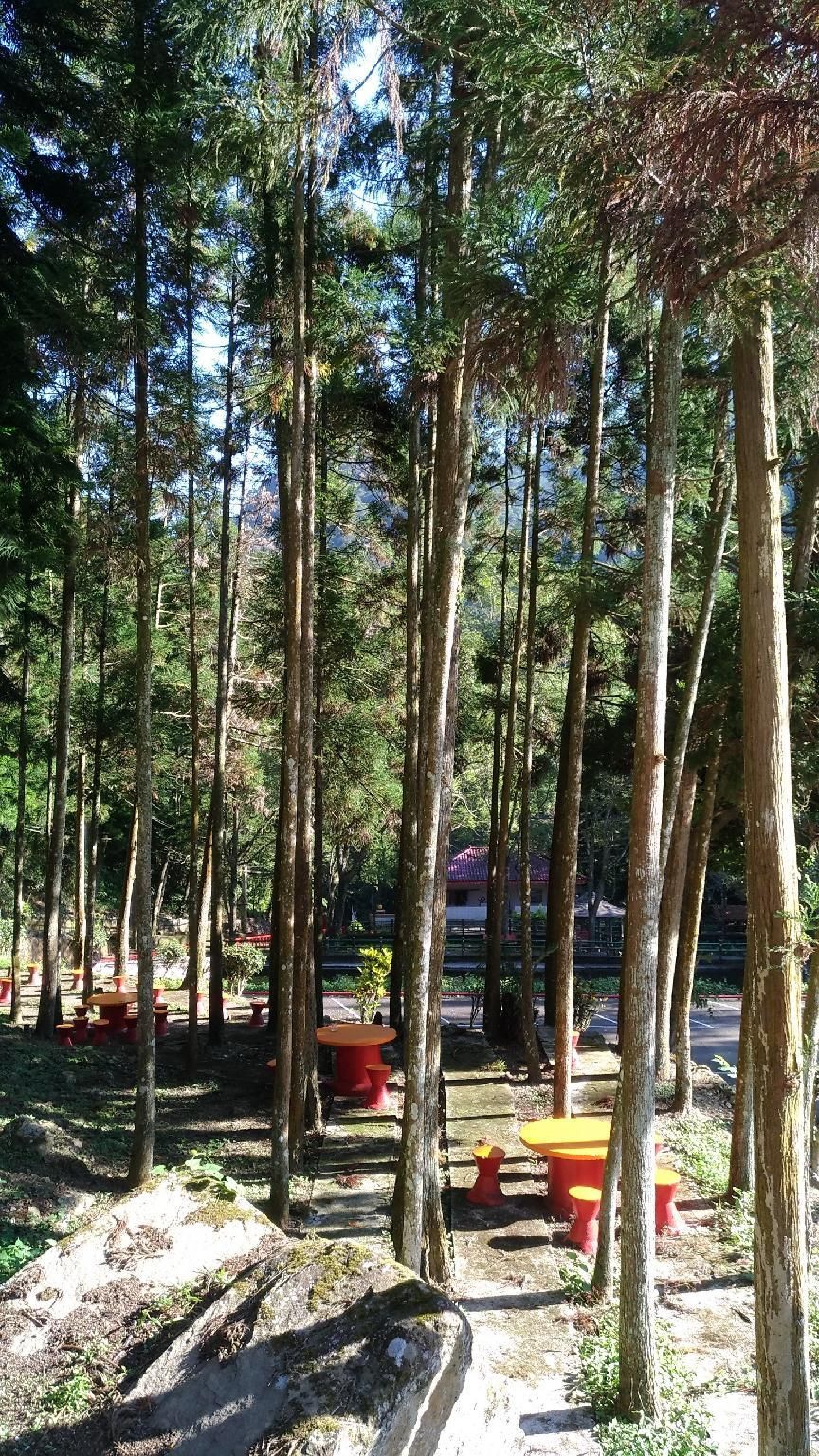 surrounding environment