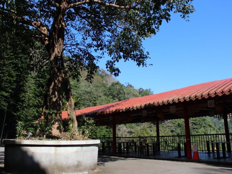 surrounding environment