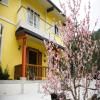 Hemerocallis Country House - Xuancao Forest Homestay