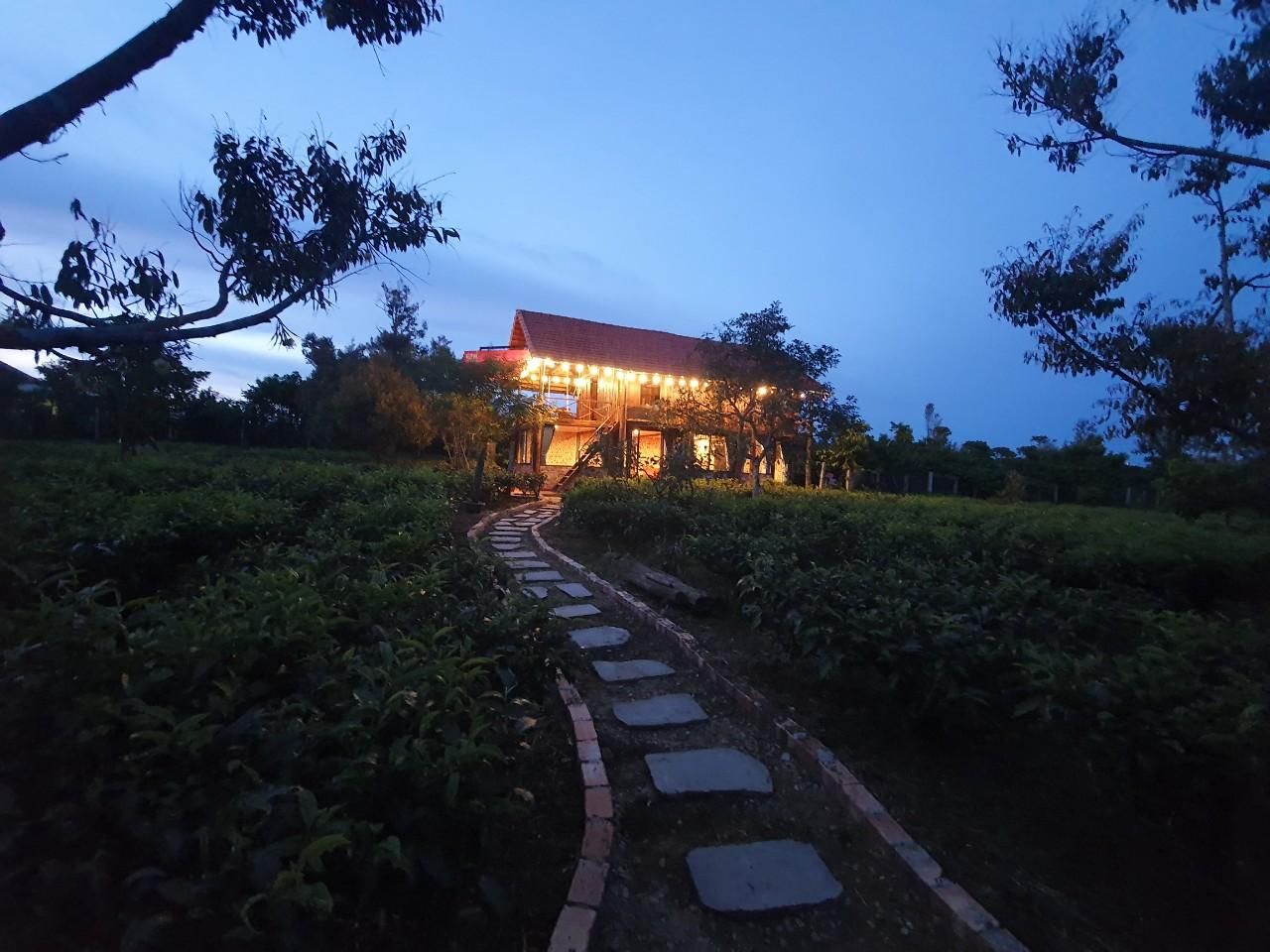 Tea Garden House
