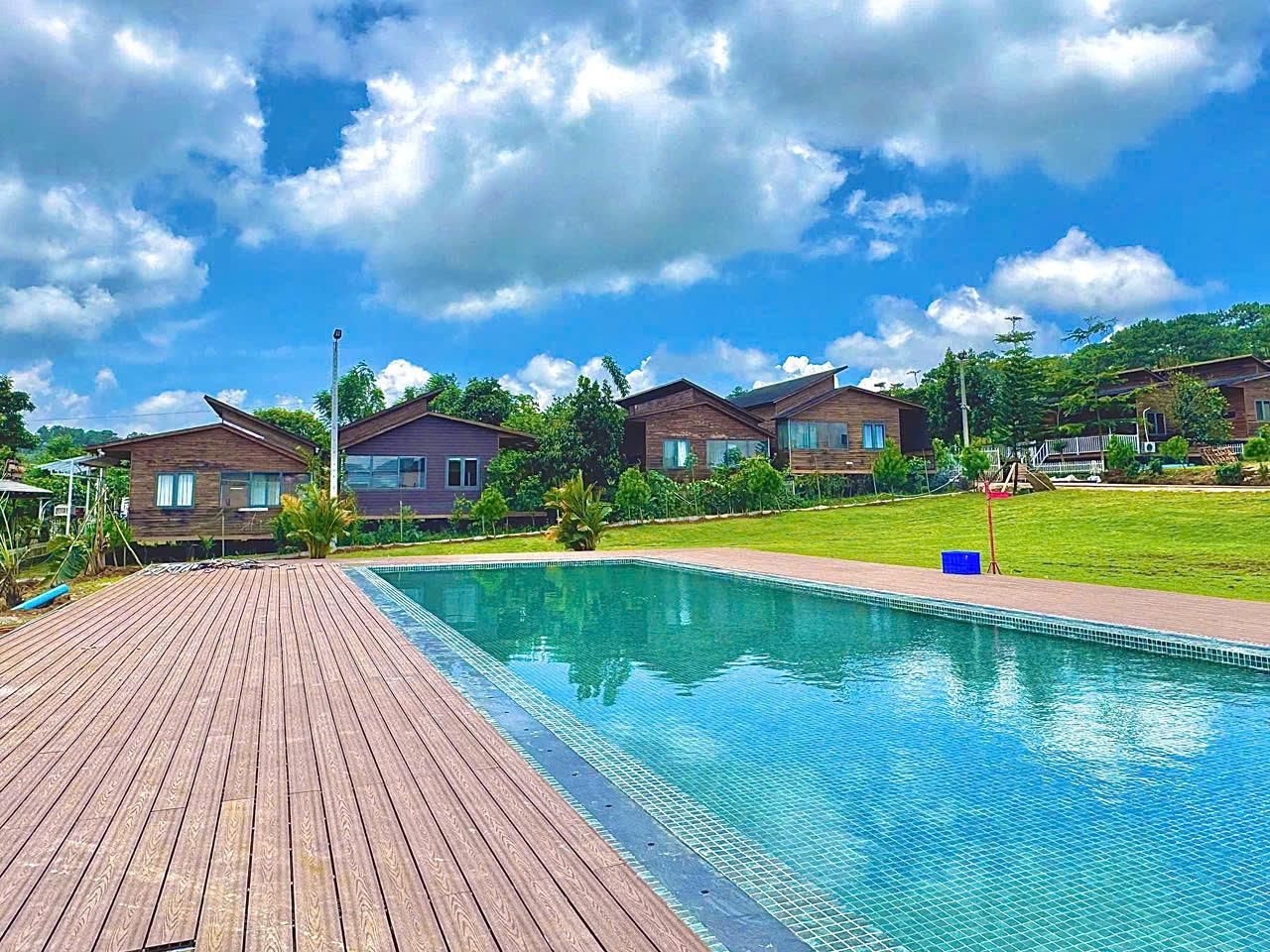 swimming pool [outdoor]