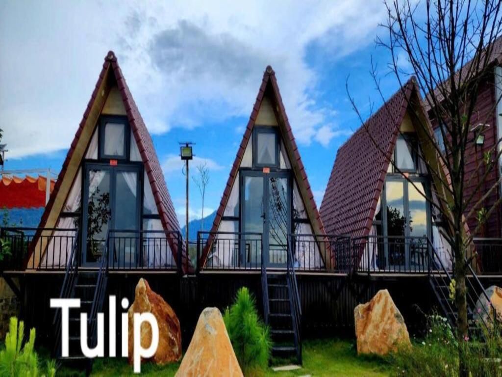 Quinn Homestay Lâm Đồng