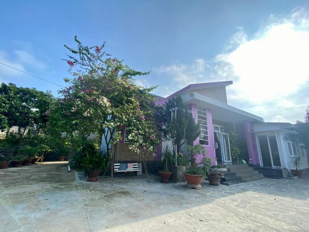 NHÀ MÁ TOÁN - Bảo Lộc