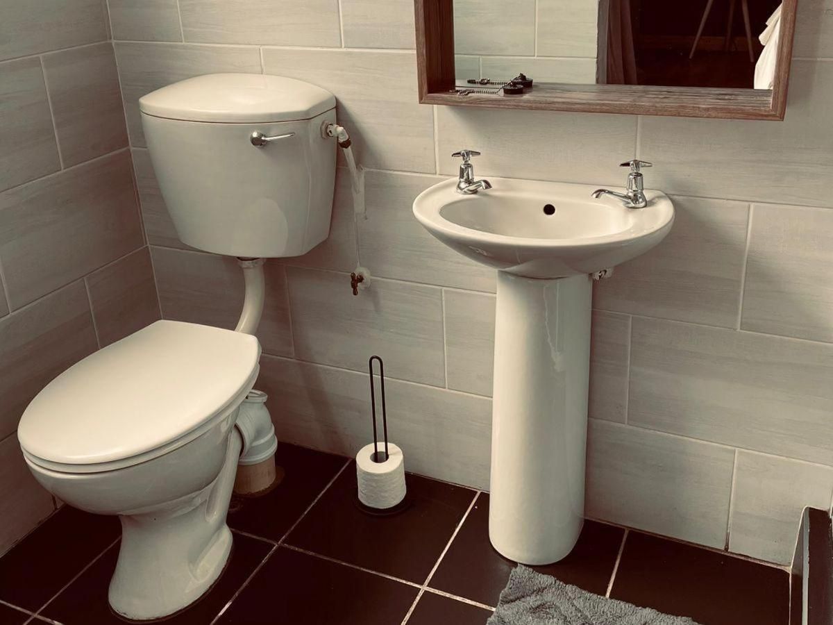 Comfort Suite