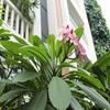 Palace Gate Hotel & Resort by EHM