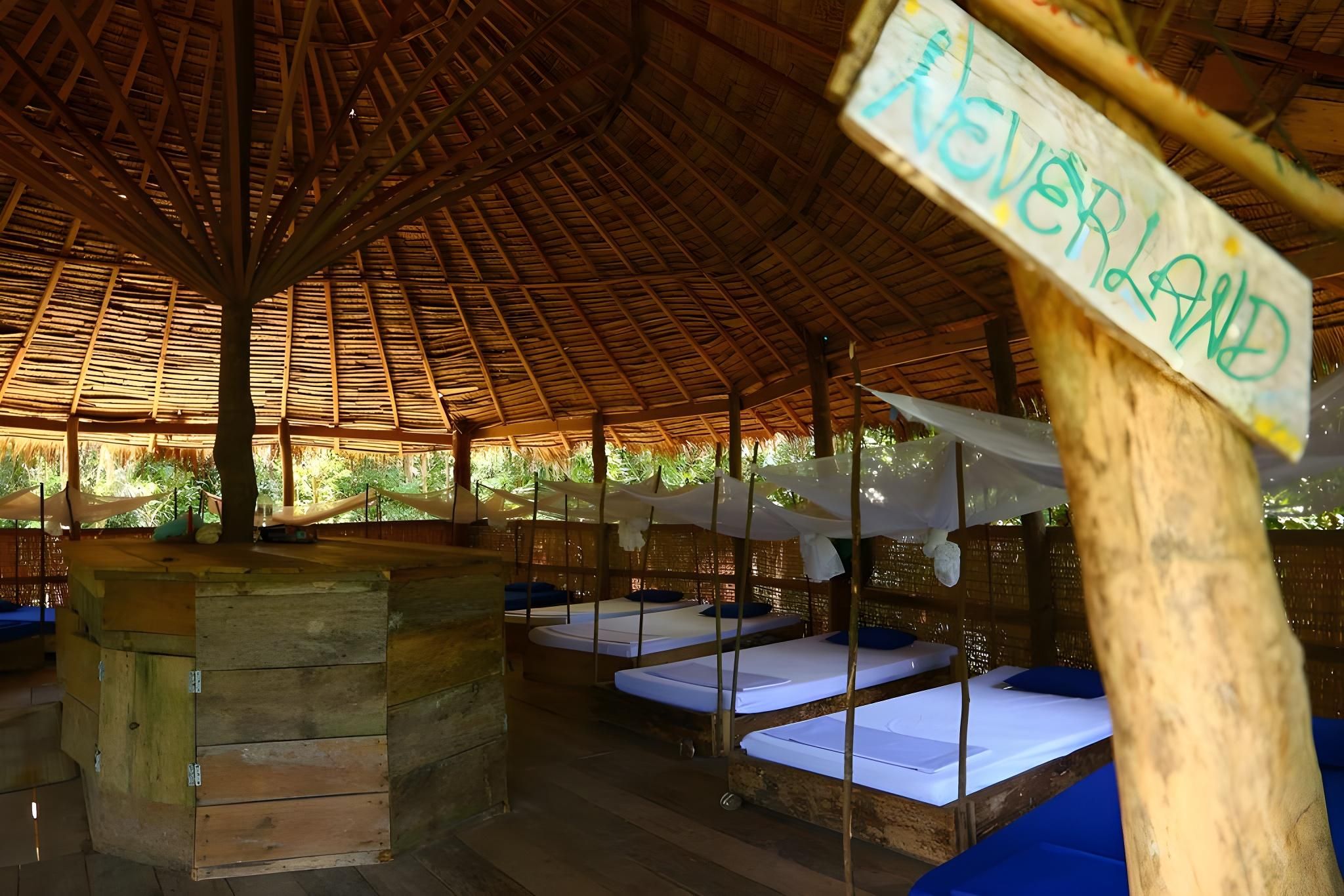 Single Bed In Mixed Dormitory Room