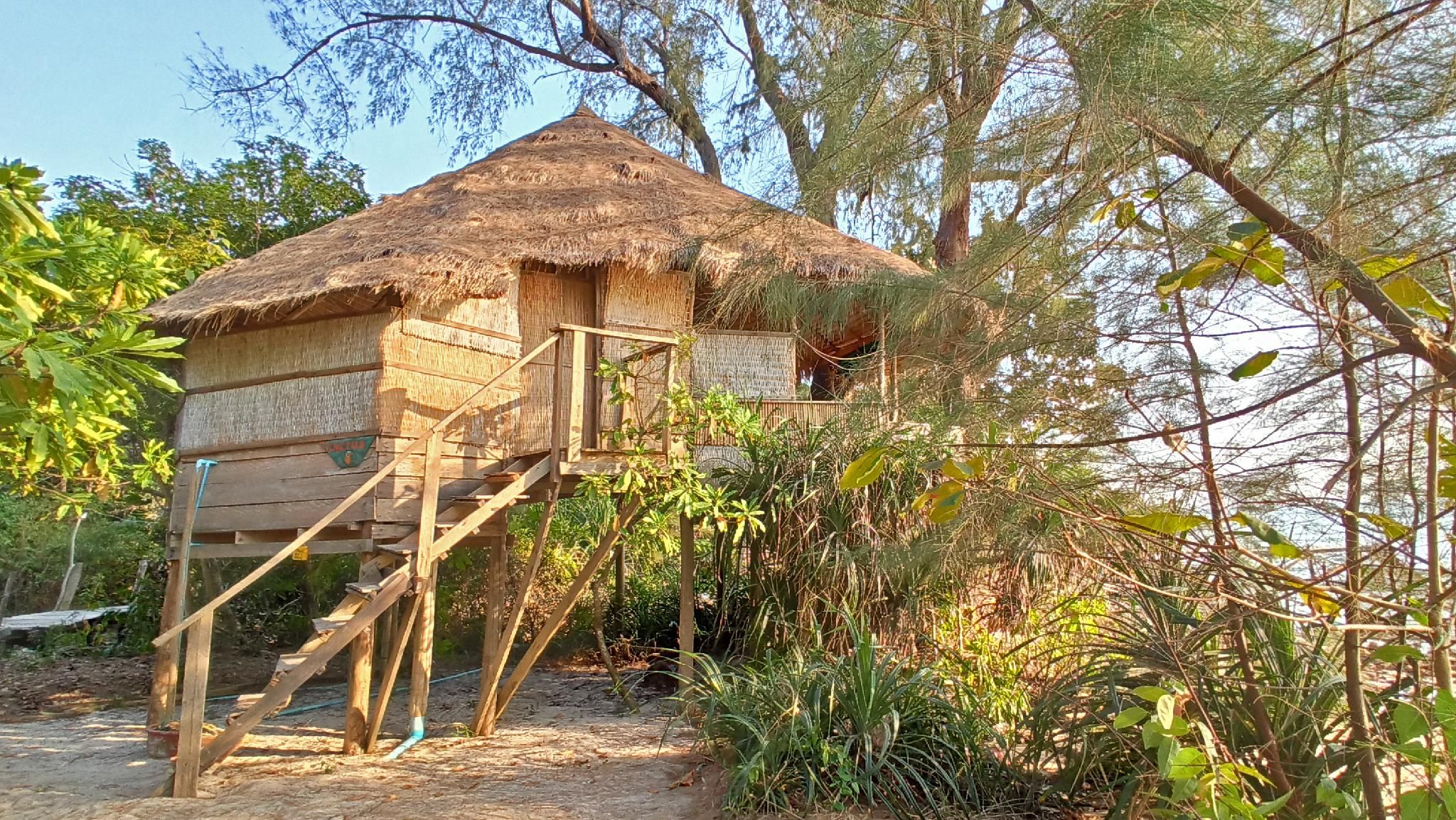 Kactus - Your Island Sanctuary