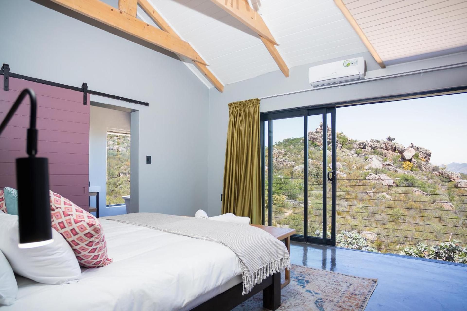 Rooibos