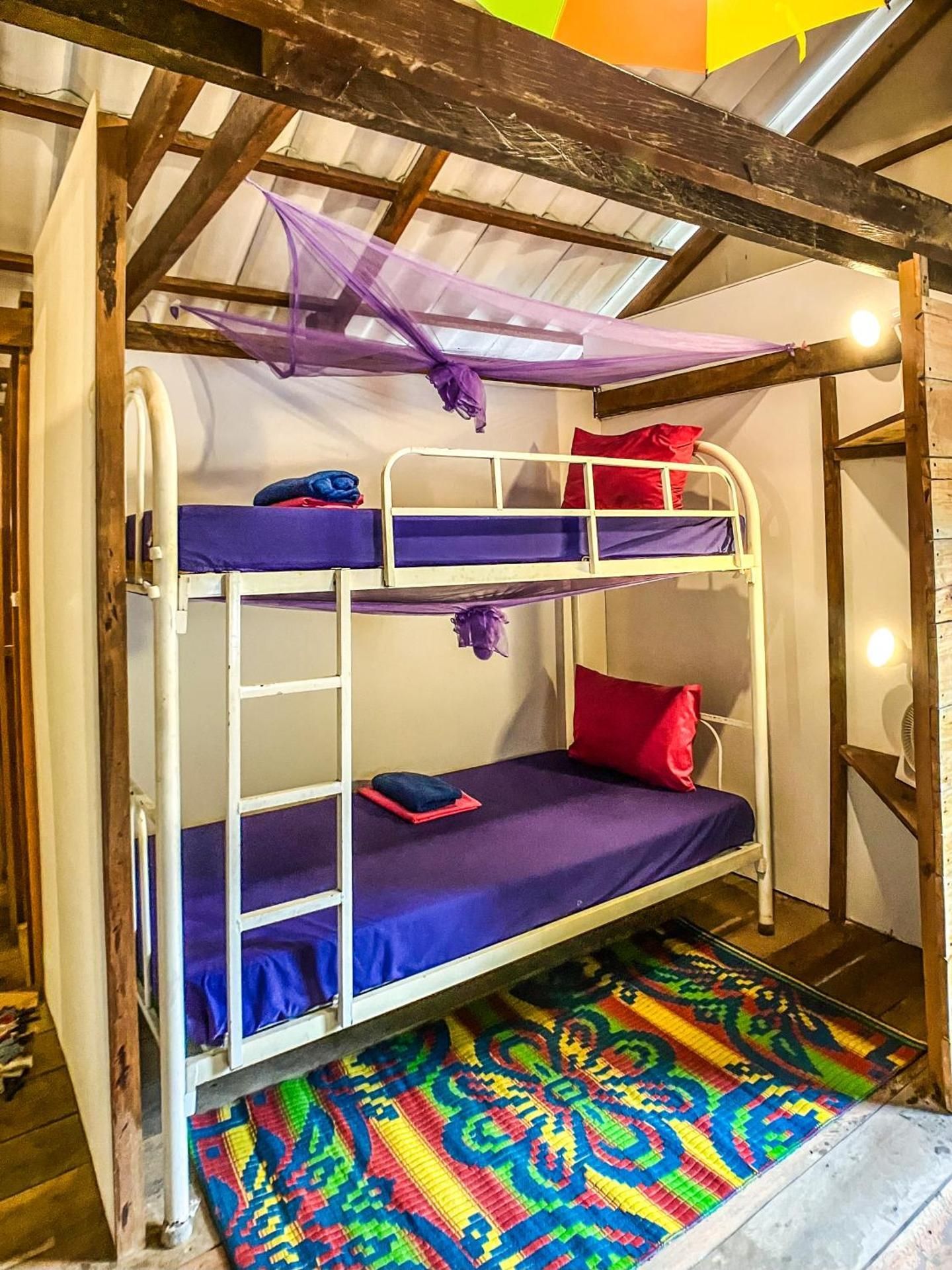 Bed in 6-Bed Female Dormitory Room