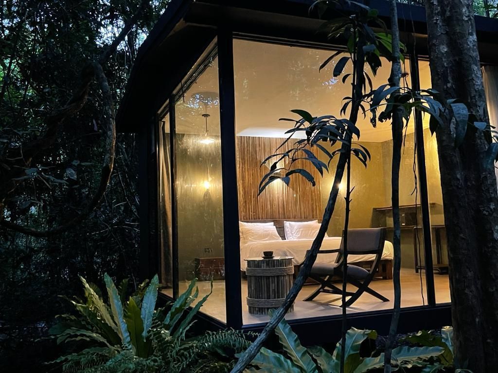 Deluxe Forest View Room