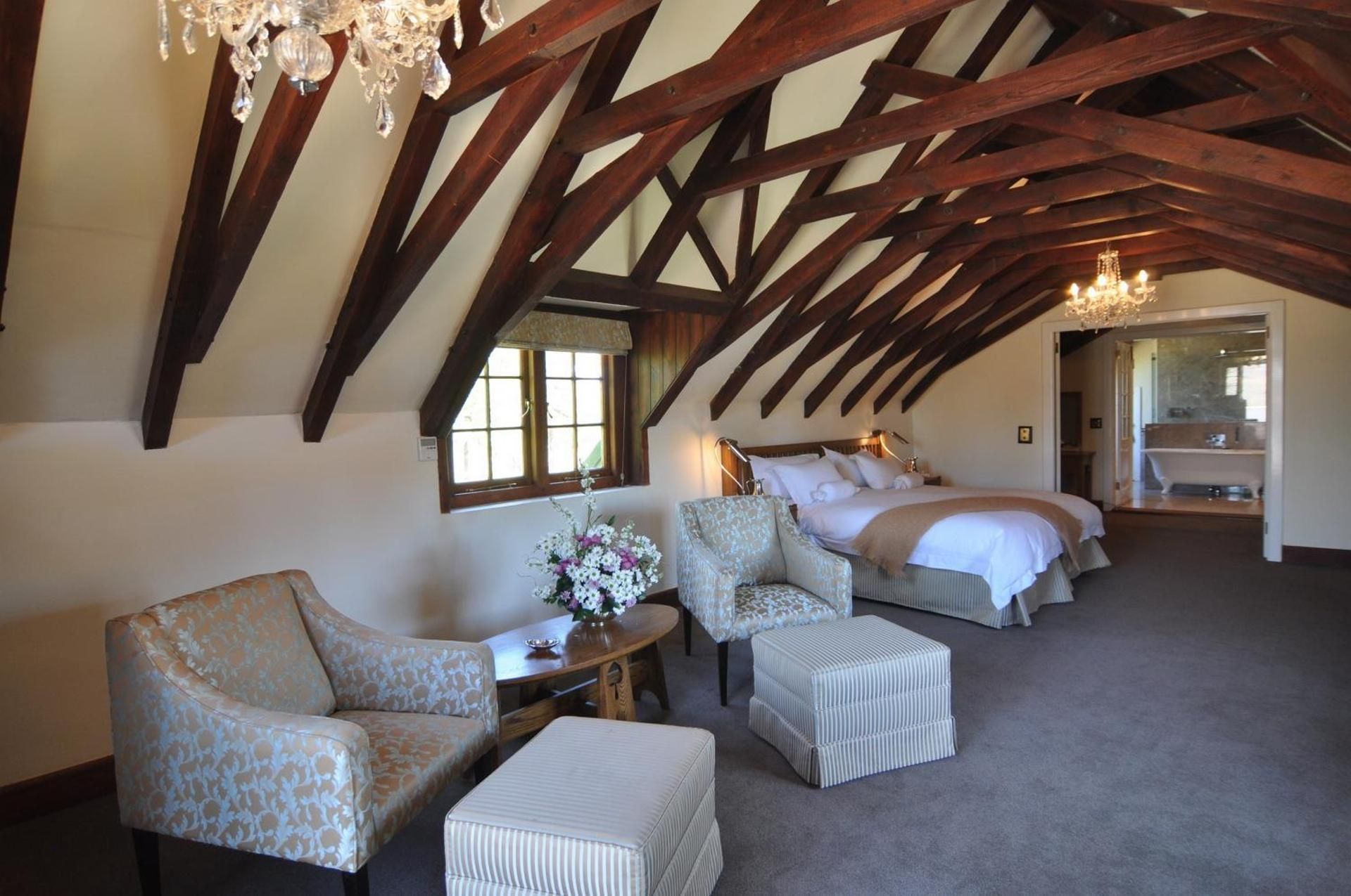 Twin/Double Room