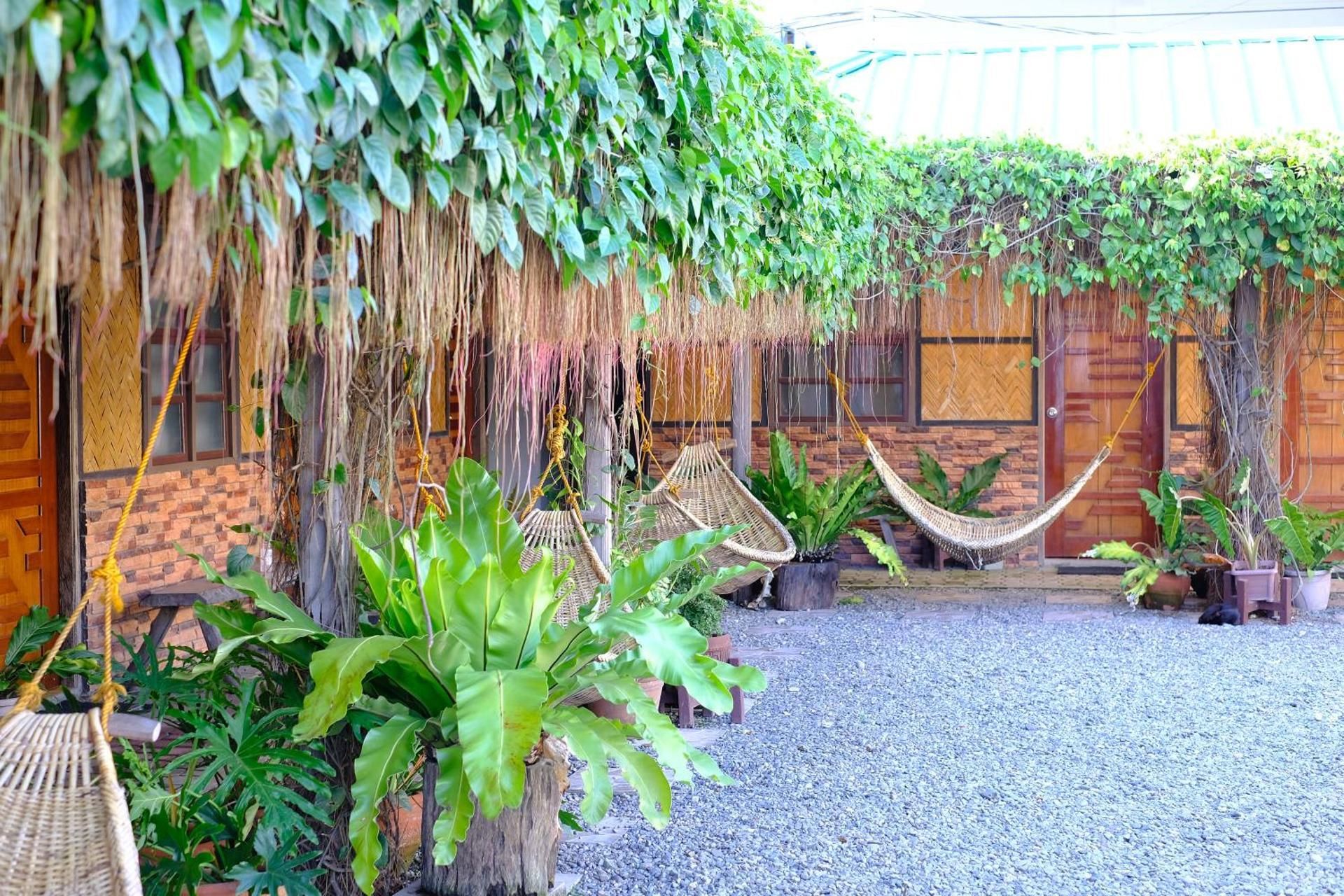 surrounding environment