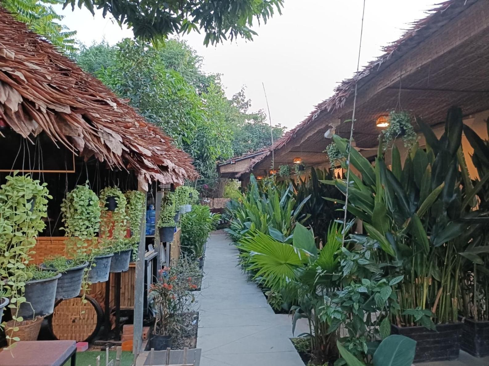 Siem Reap Homesteading II