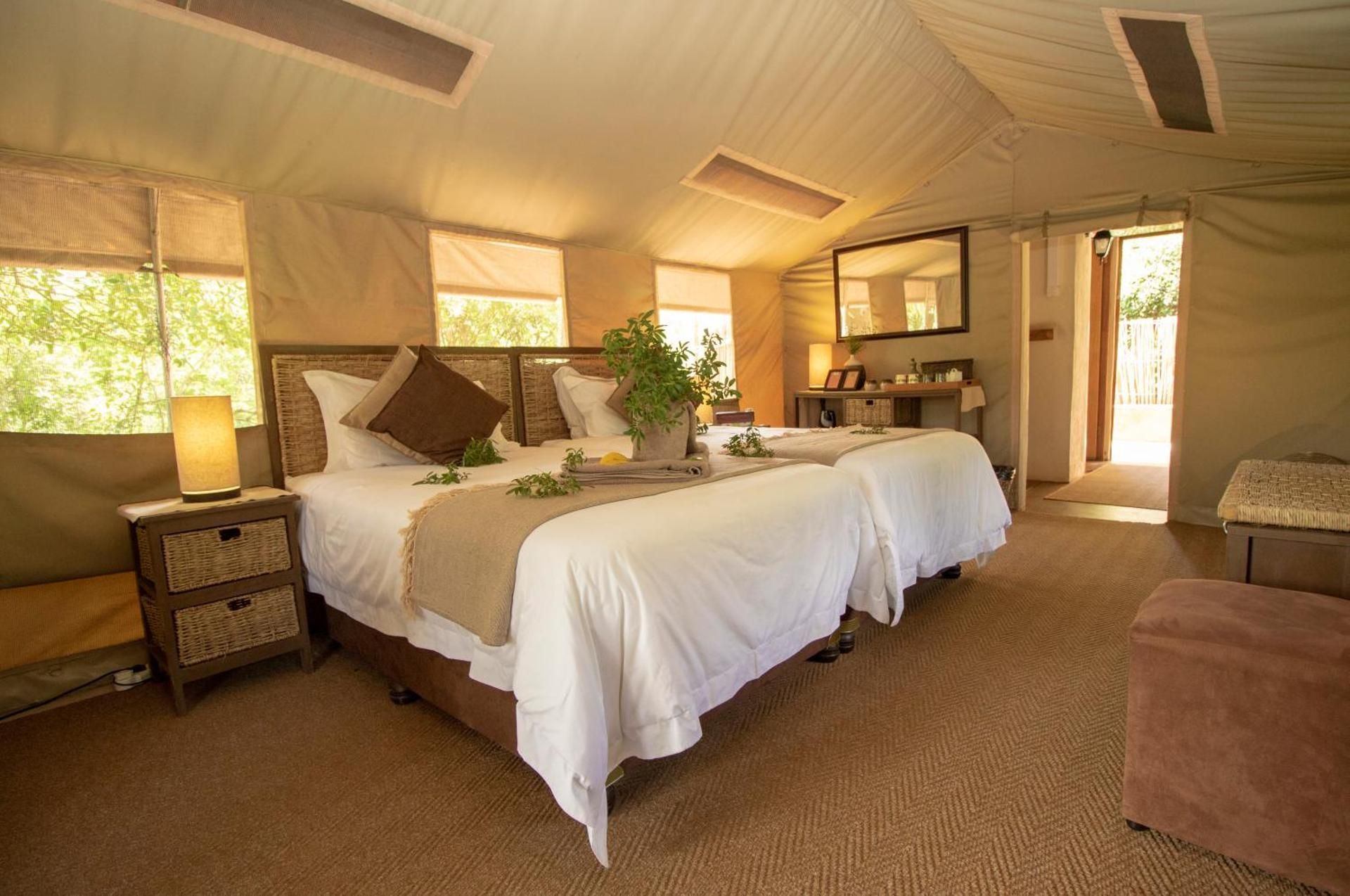 Twin Safari Tent (TS7)
