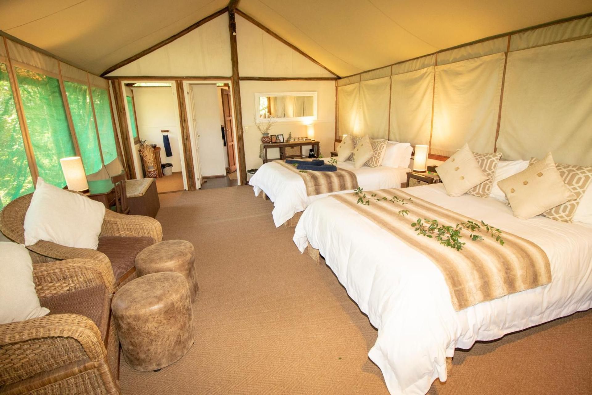 Standard Family Safari Tent (TS9)