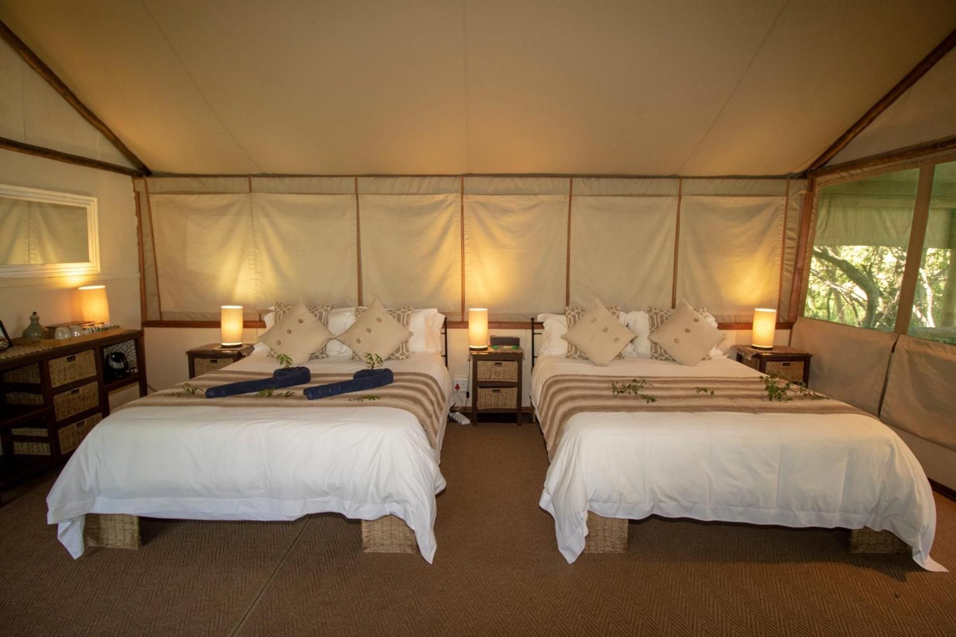 Standard Family Safari Tent (TS9)