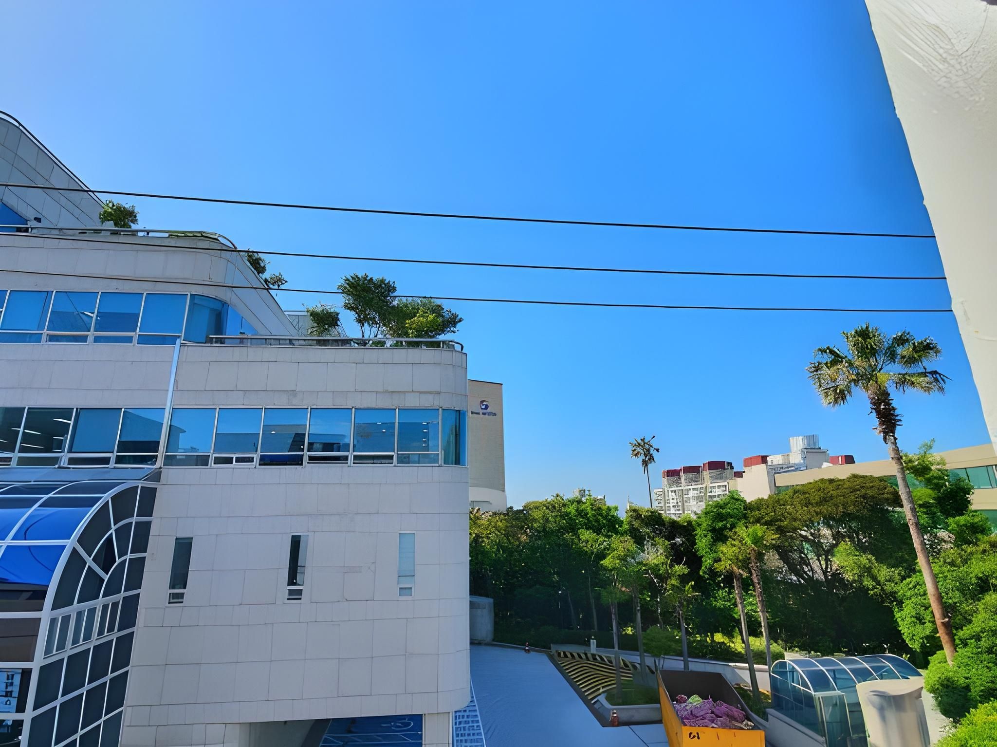 Hannah Stay - Female Only