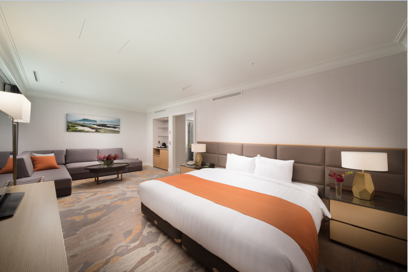 VIP Suite-1 King Bed