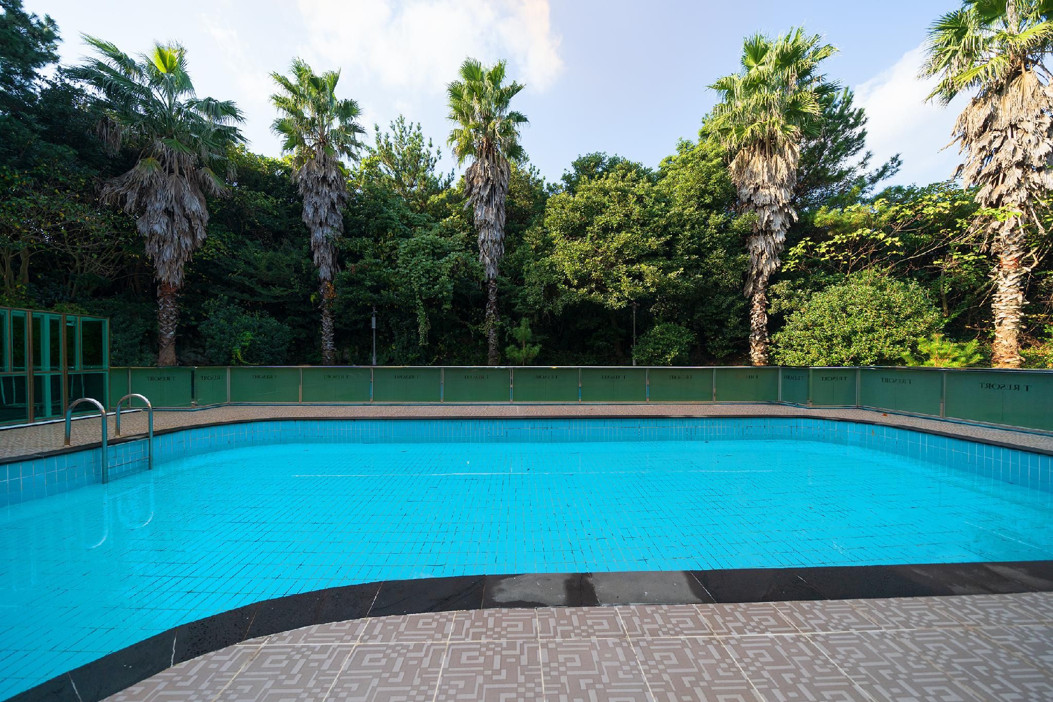 51bf06749a49619ce97ab2024b82de99