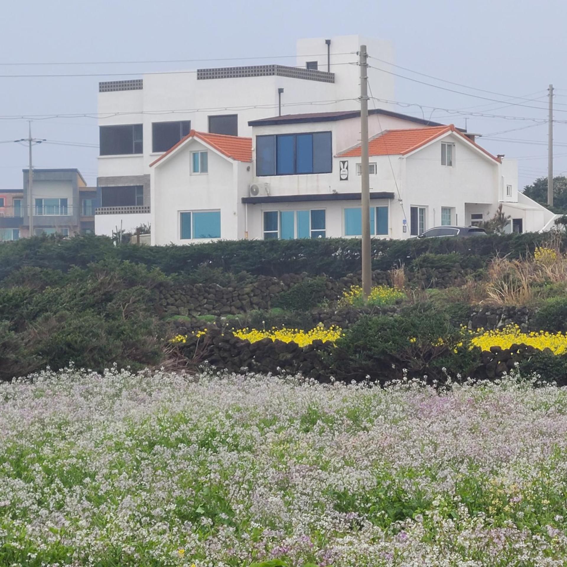 Rabit Island healing house