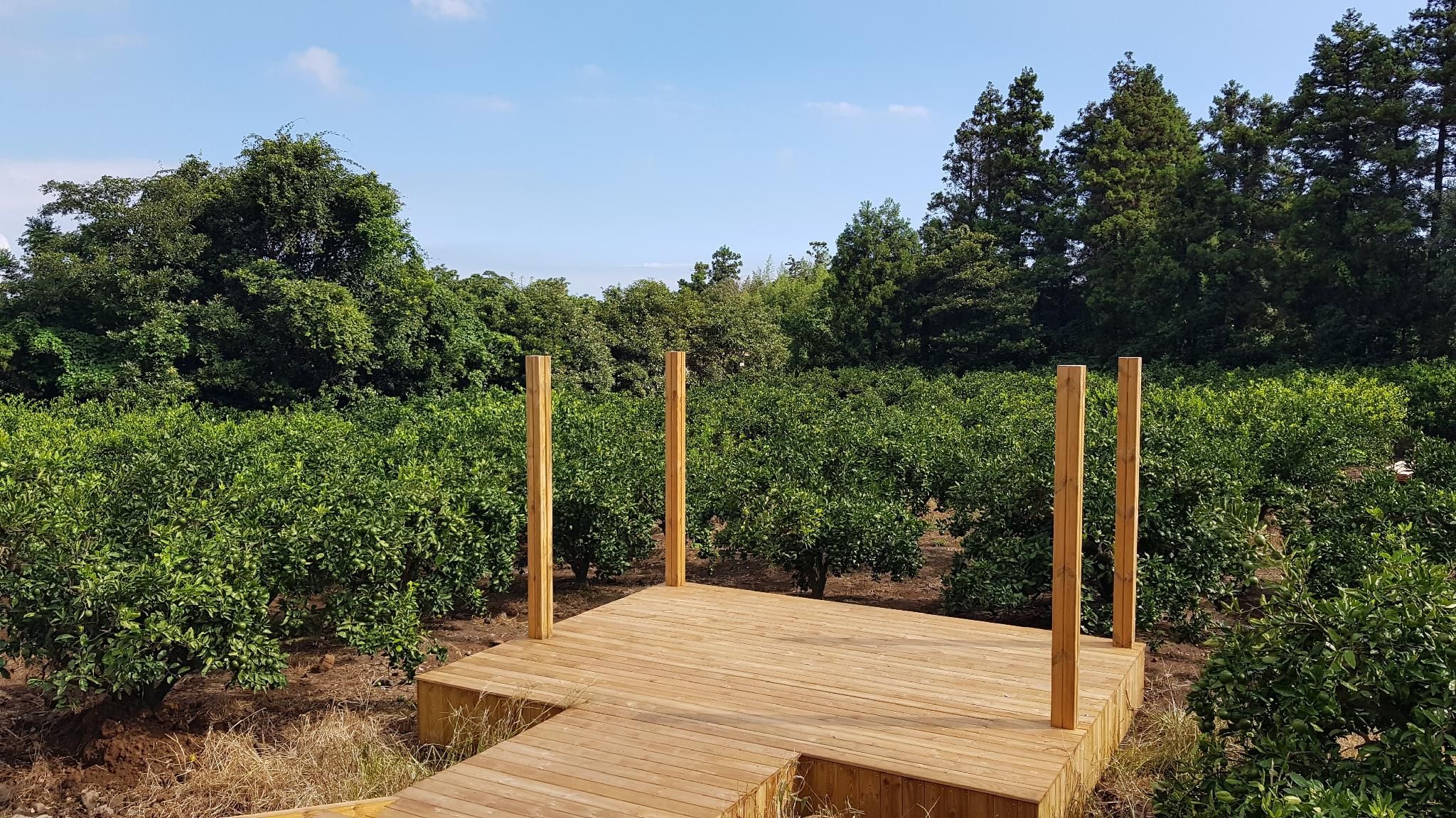 b1a9e39cb24e2fbf95d82e5e04a58eaf