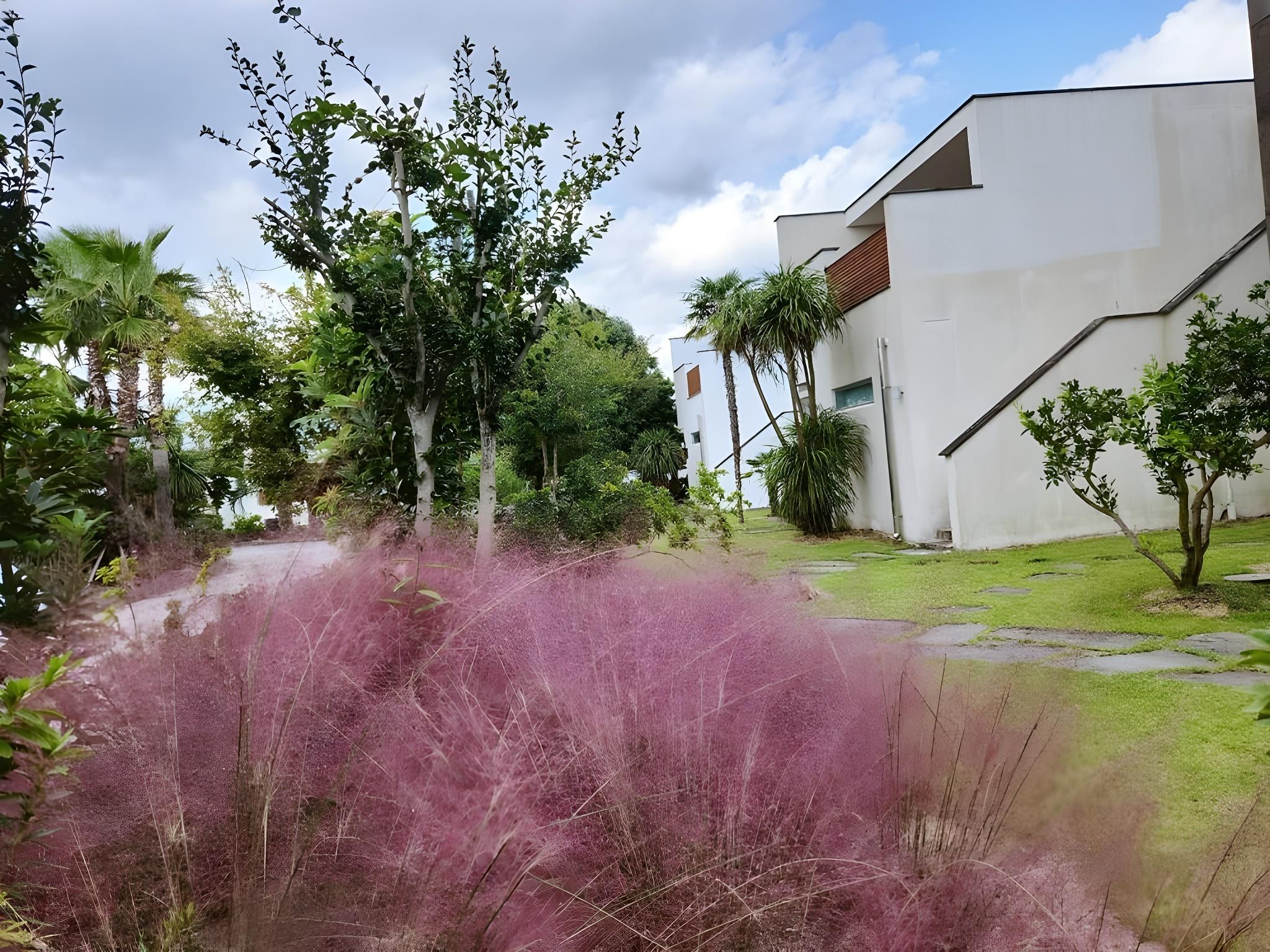 2117796094d55e2083d24f01bead2c5b