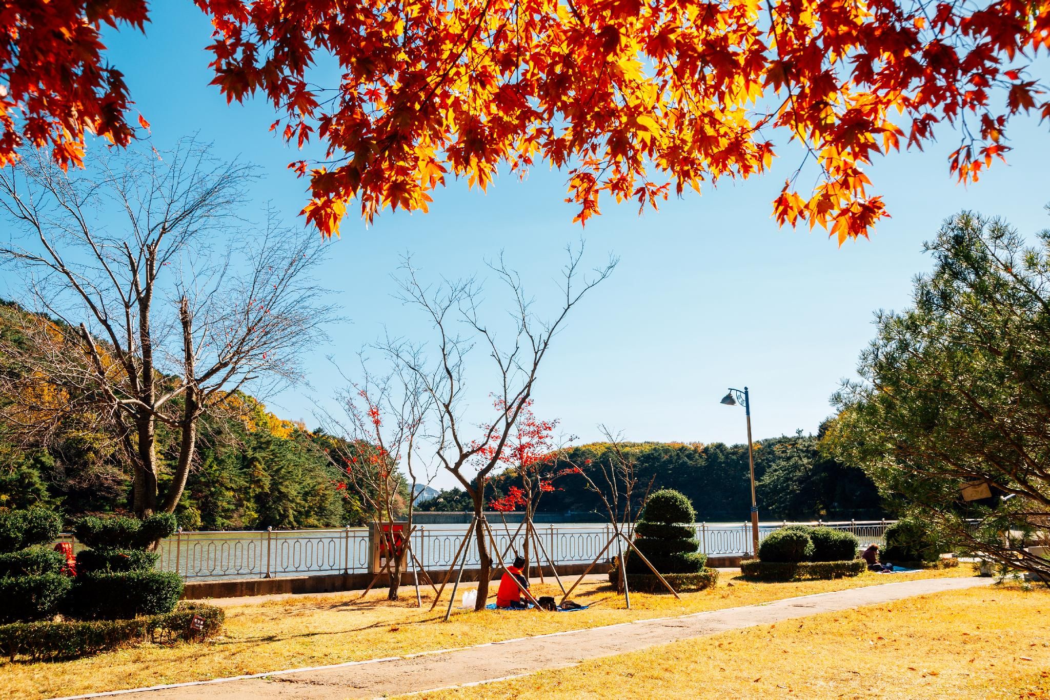 890ac6c2c92acb9069c4a15e32cb55a7