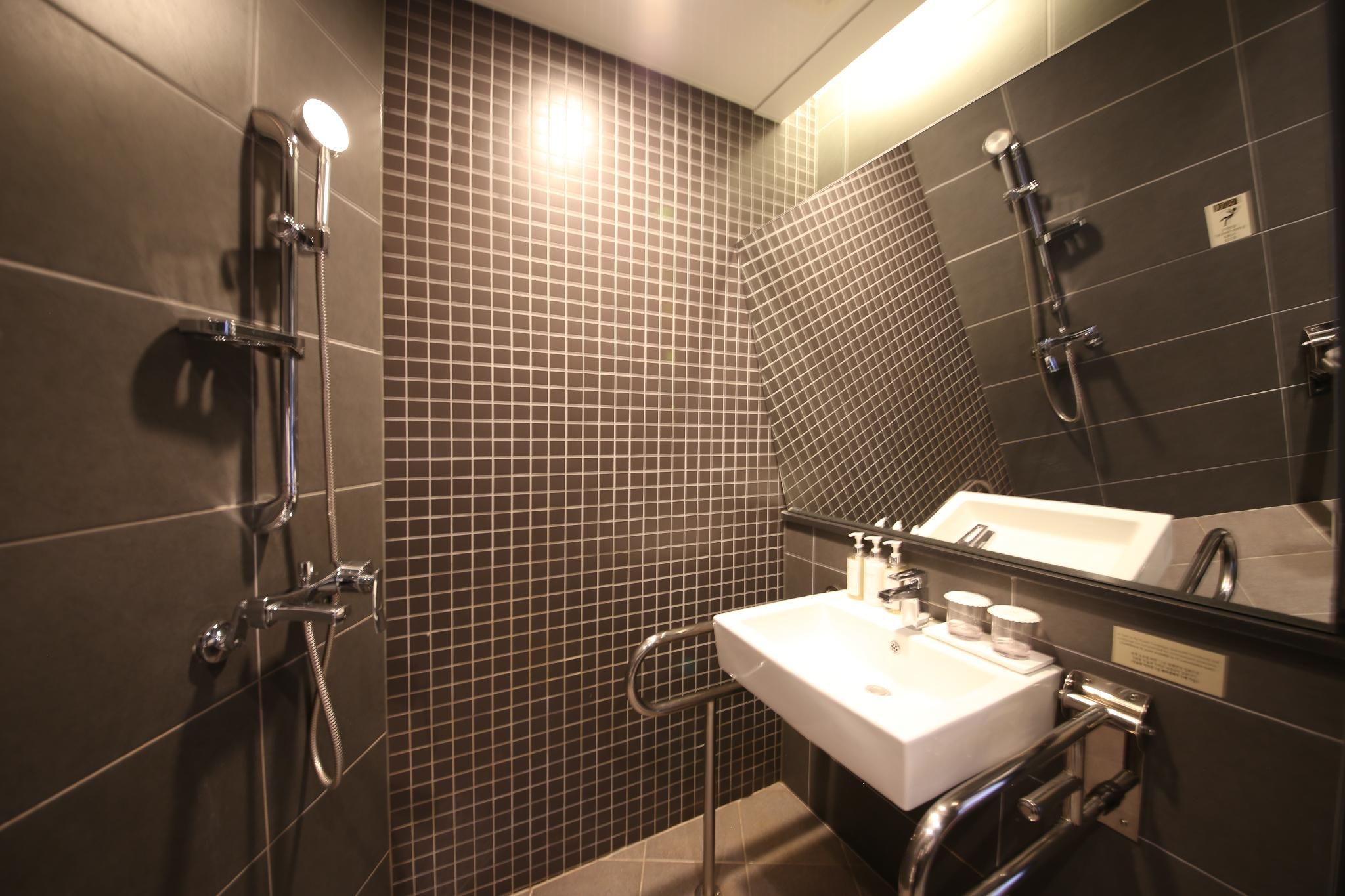 Standard Double Room - Handicap