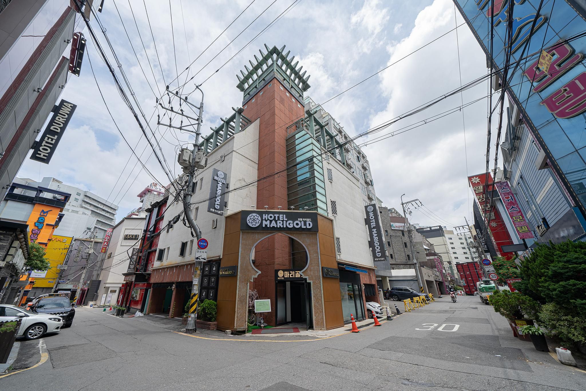 Incheon (Bupyeong) Marigold