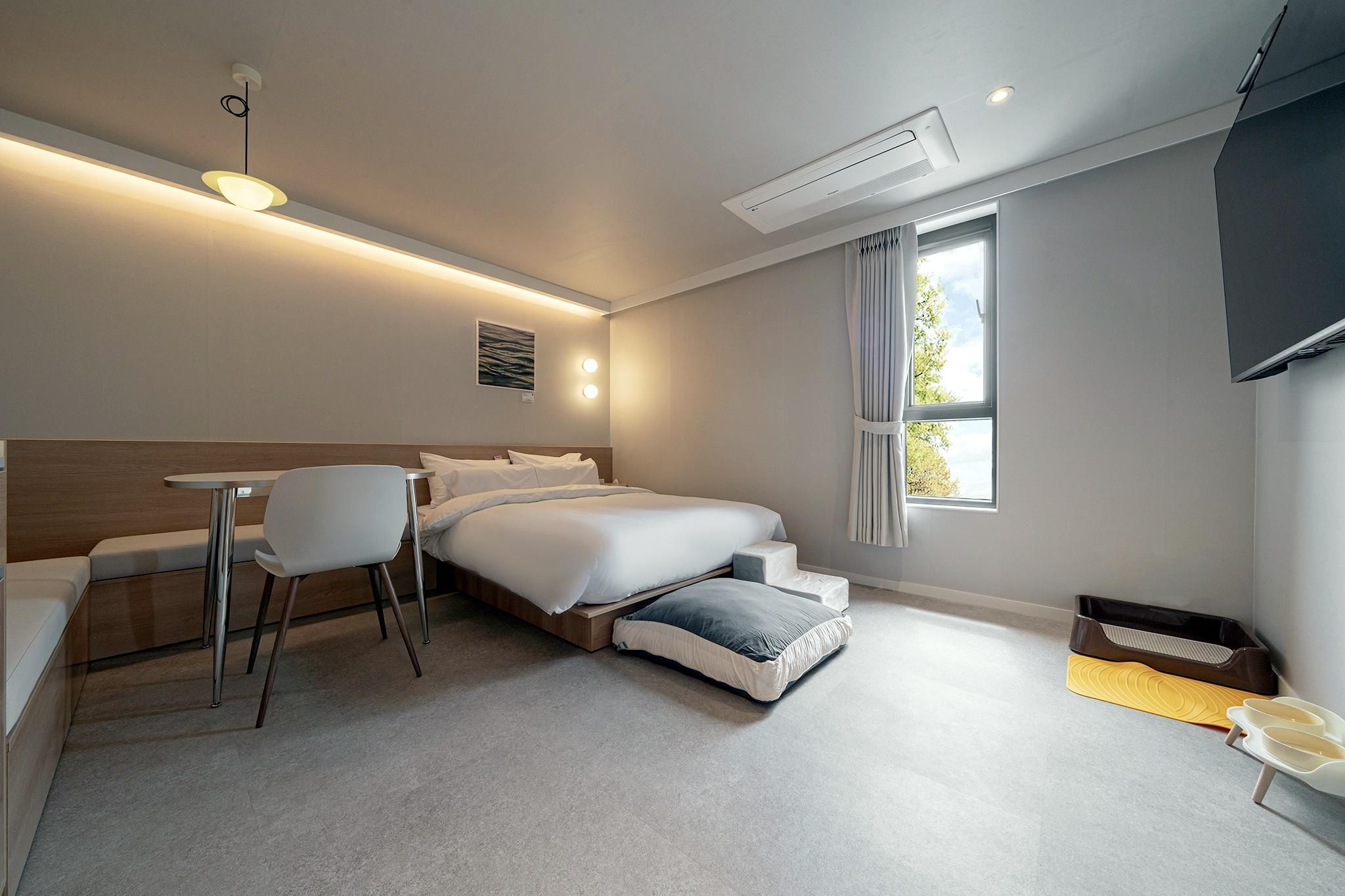 Standard Room - Pet-Friendly