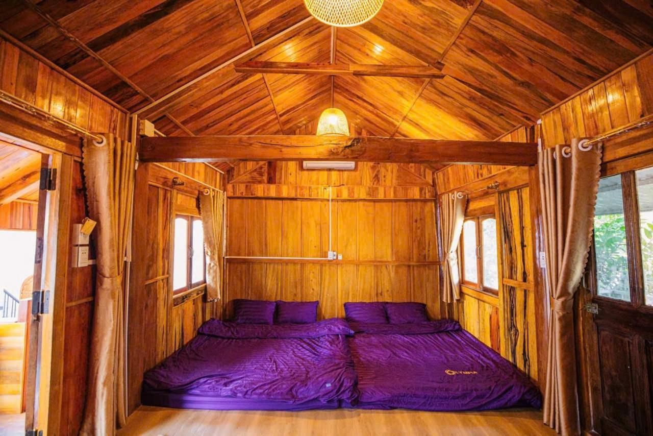 Dorm Premium Mix 6 Sharing