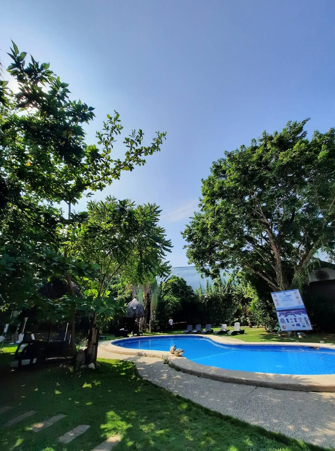 swimming pool [outdoor]