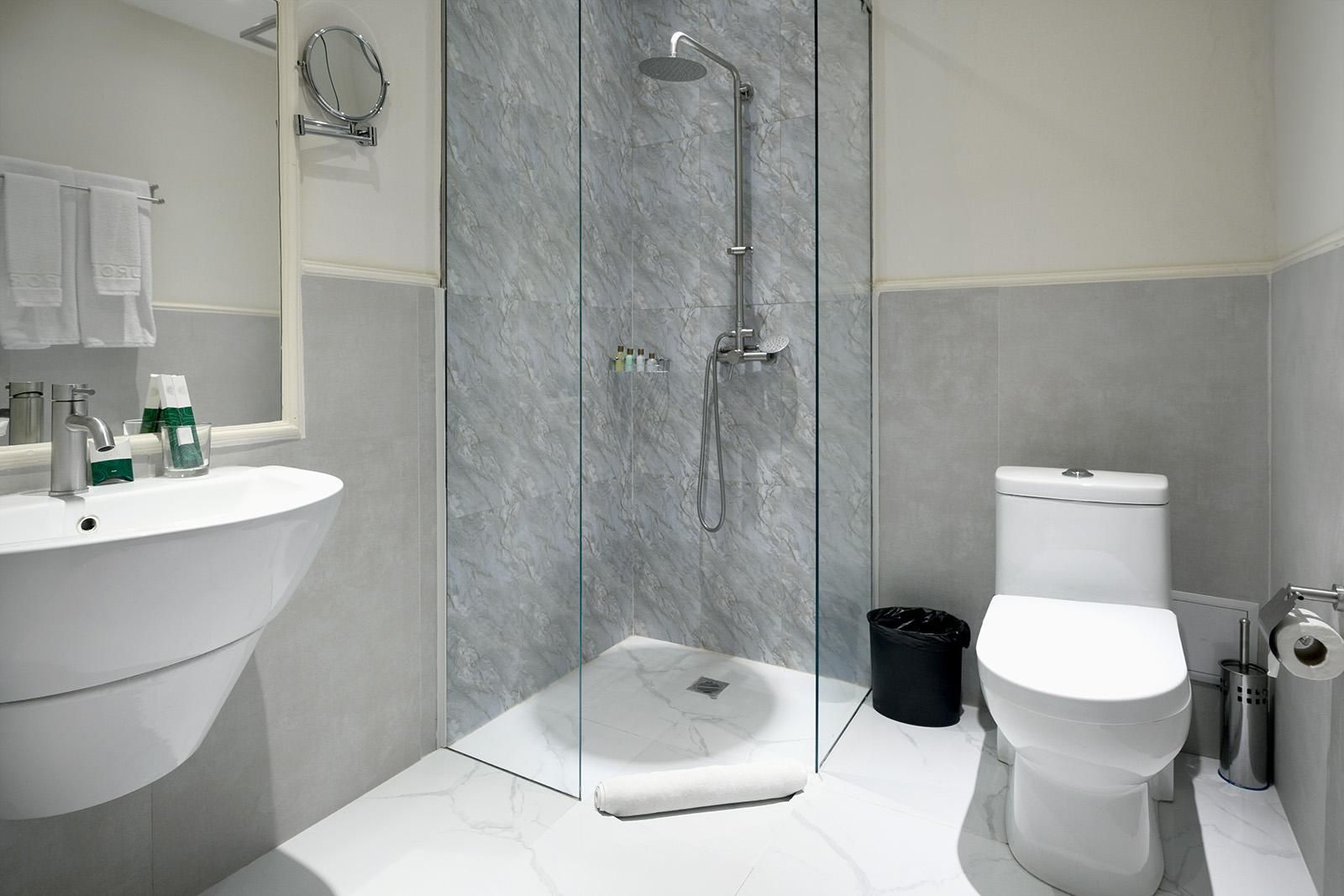 Deluxe Double or Twin Room with City View