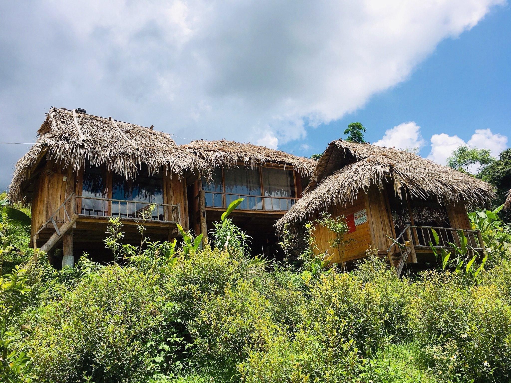 surrounding environment