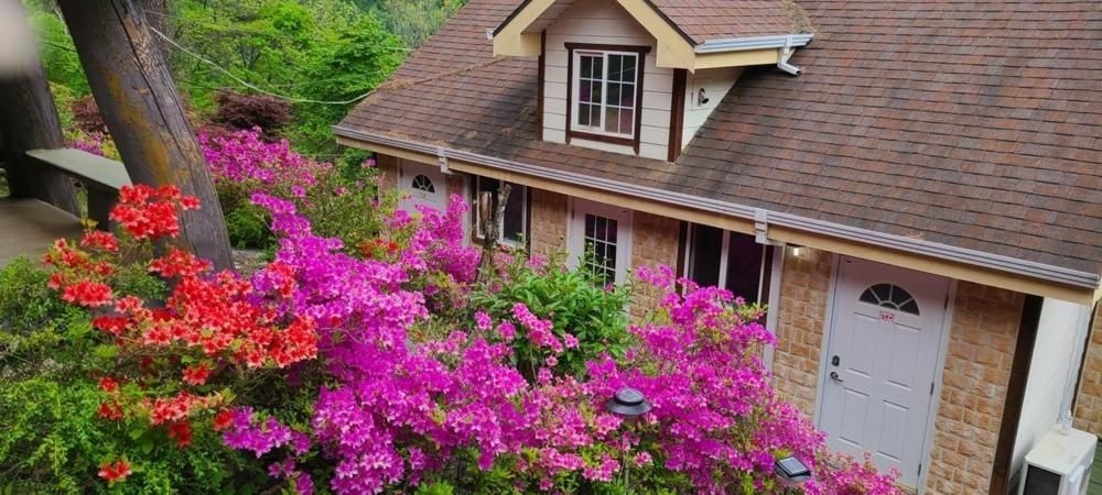 Wonju Sarichi Land in Forest Pension