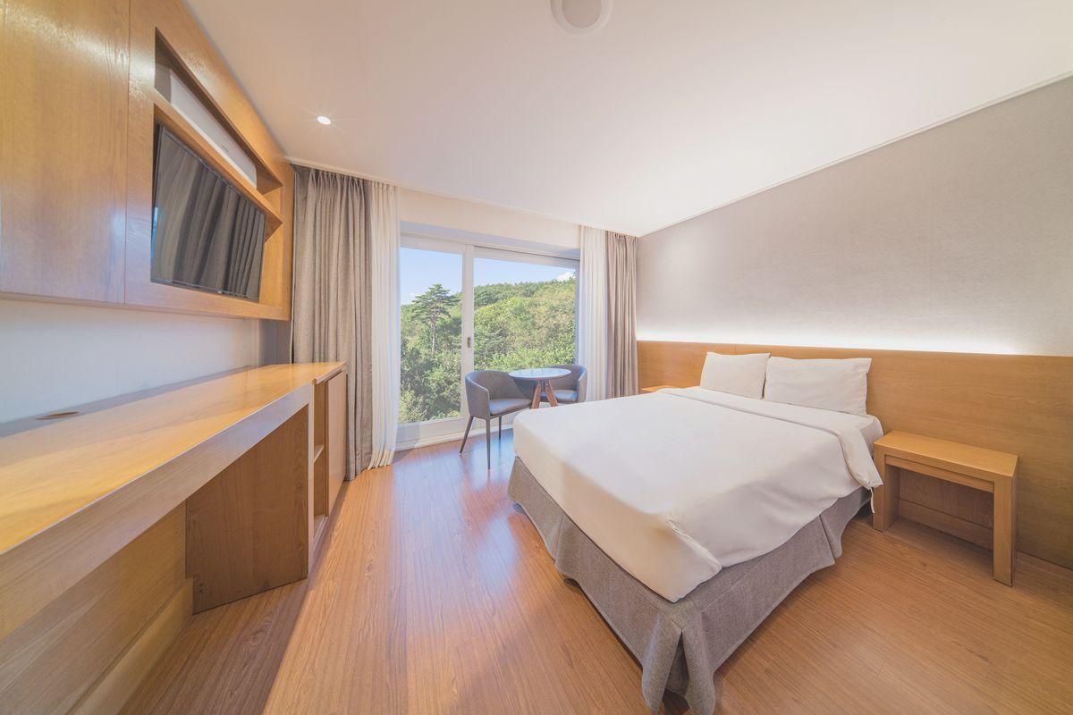 Standard Double Room with Mountain View
