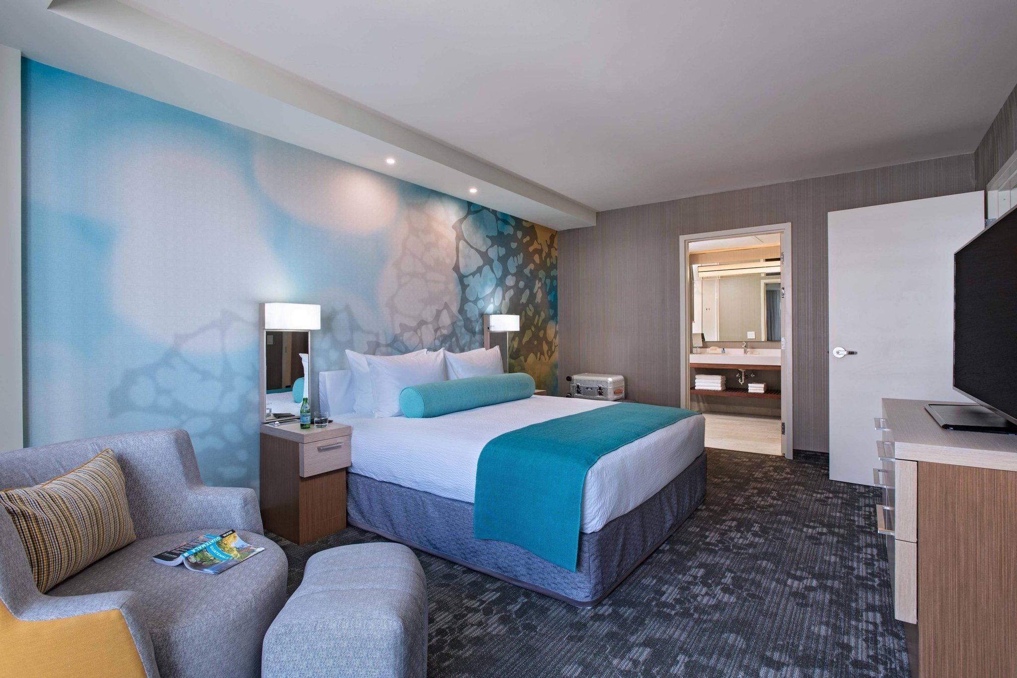 Suite, 1 King, Sofa bed