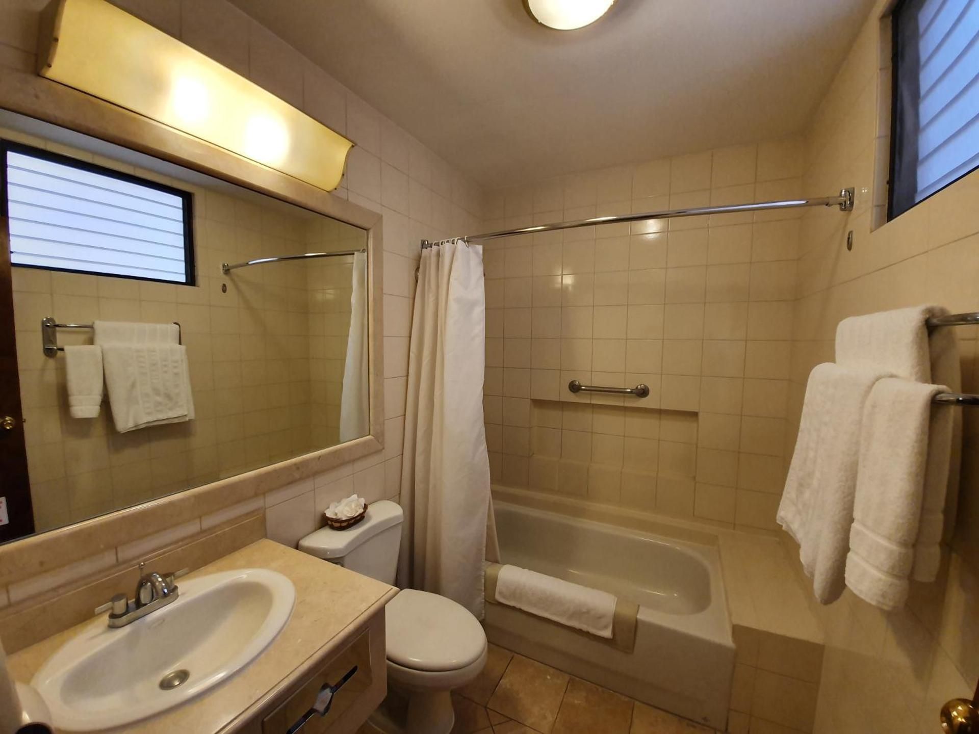 1 King Bed, Nonsmoking, Standard Room, Bathtub